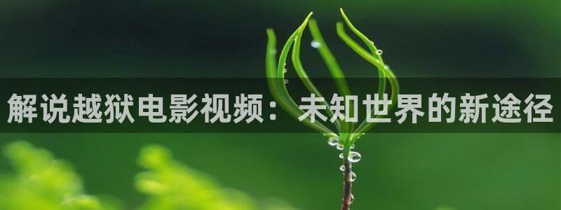 樱花影视大全免费看电视剧最新：解说越狱电影视频：未知世界的新途径