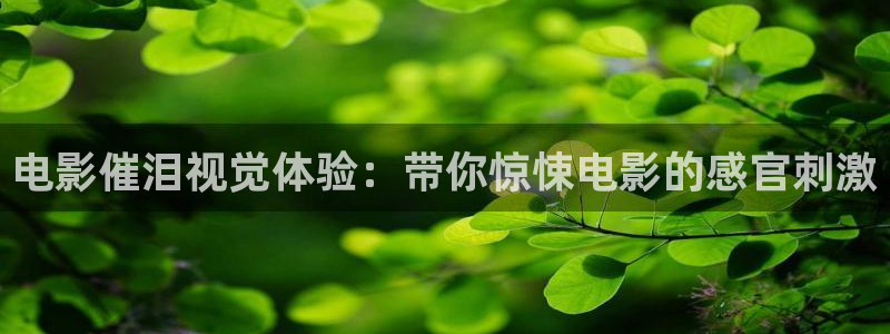 樱花影院免费观看电视剧大全：电影催泪视觉体验：带你惊悚电影的感官刺激