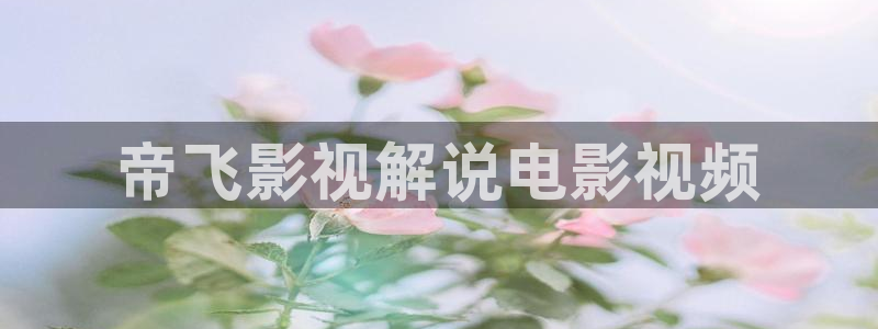 97樱花视频：帝飞影视解说电影视频
