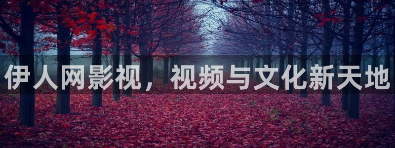 樱花影院电视剧电影免费观看：伊人网影视，视频与文化新天地