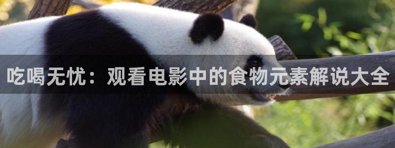 樱花视频日韩：吃喝无忧：观看电影中的食物元素解说大全
