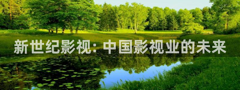 樱花影院在线观看免费高清：新世纪影视: 中国影视业的未来