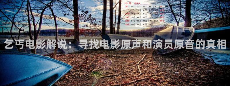樱花影视大全免费看电视剧最新：乞丐电影解说：寻找电影原声和演员原音的真相