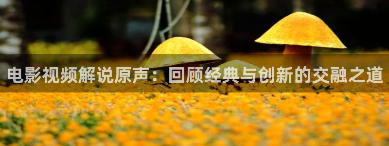 樱花视频高清资源在线观看：电影视频解说原声：回顾经典与创新的交融之道